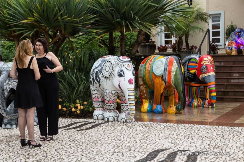 Florianópolis amanheceu com vários elefantinhos coloridos espalhados pela cidade