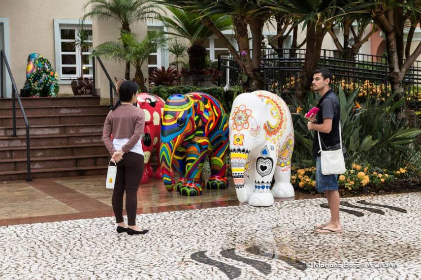 Florianópolis amanheceu com vários elefantinhos coloridos espalhados pela cidade