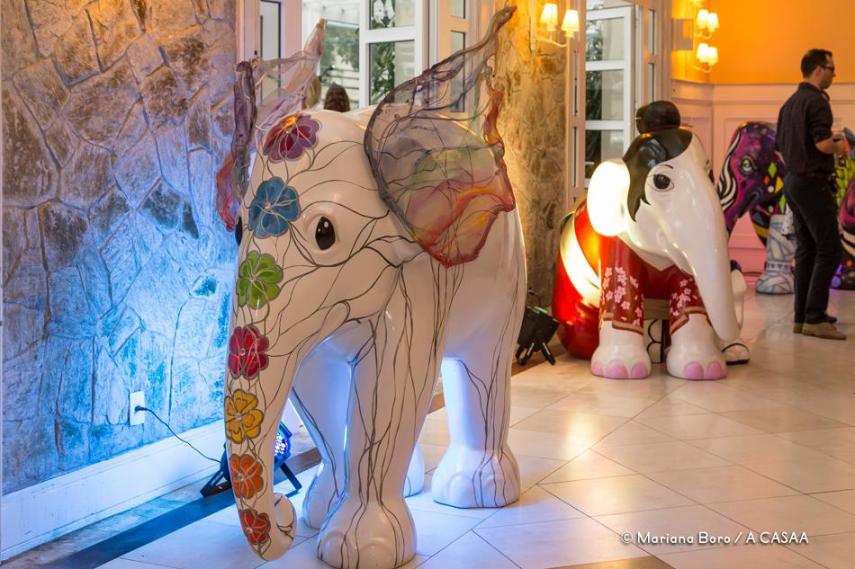 Florianópolis amanheceu com vários elefantinhos coloridos espalhados pela cidade
