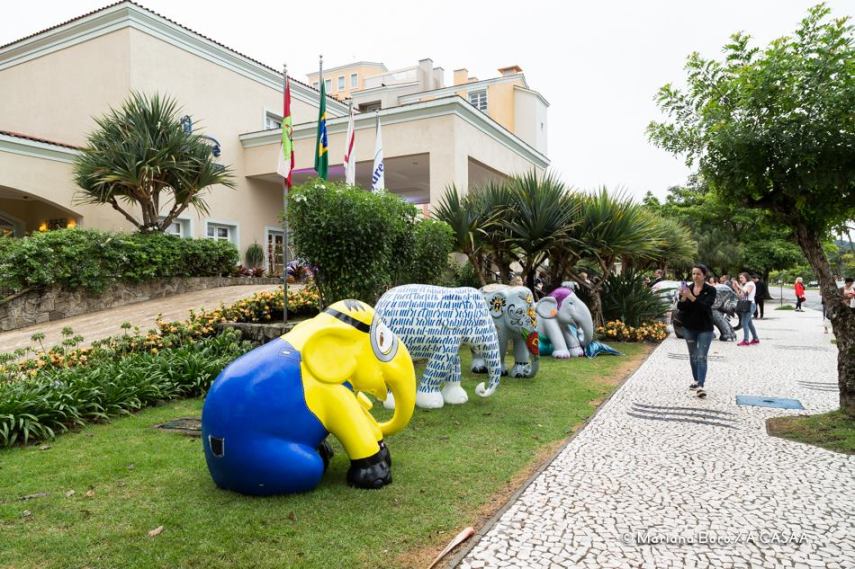 Florianópolis amanheceu com vários elefantinhos coloridos espalhados pela cidade