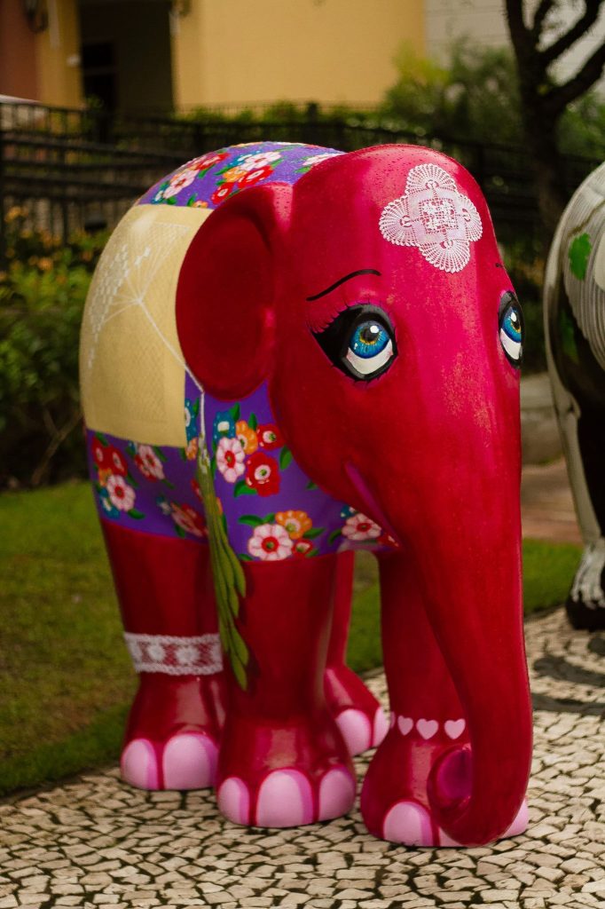 Florianópolis amanheceu com vários elefantinhos coloridos espalhados pela cidade