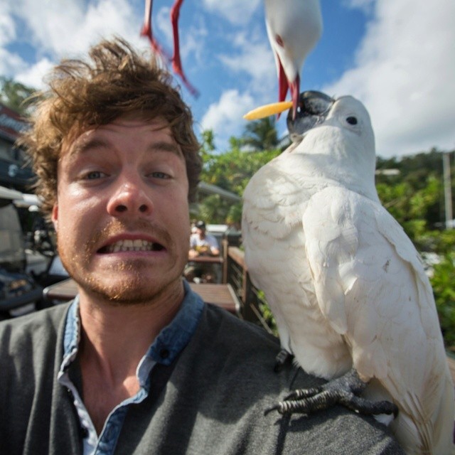 O irlandês Allan Dixon tira os melhores selfies com animais