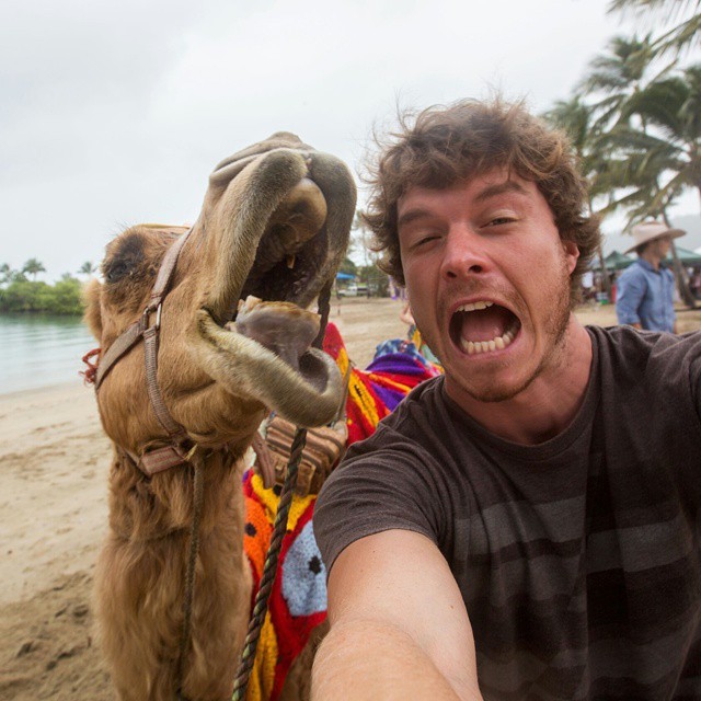 O irlandês Allan Dixon tira os melhores selfies com animais