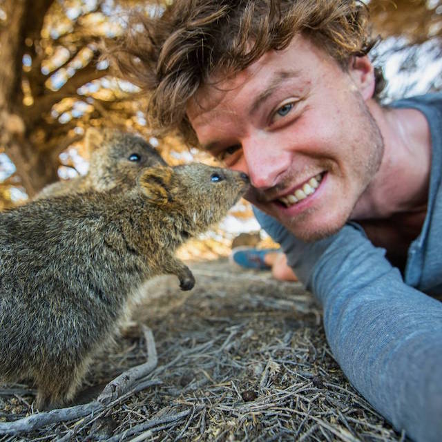 O irlandês Allan Dixon tira os melhores selfies com animais