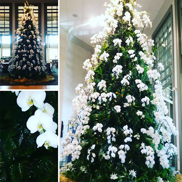 Usar flores para decorar sua árvore de Natal pode ser uma boa opção para inovar