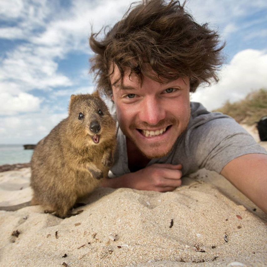 Apelidado de Dr. Dolittle da vida real, o irlandês Allan Dixon faz selfies incríveis com animais
