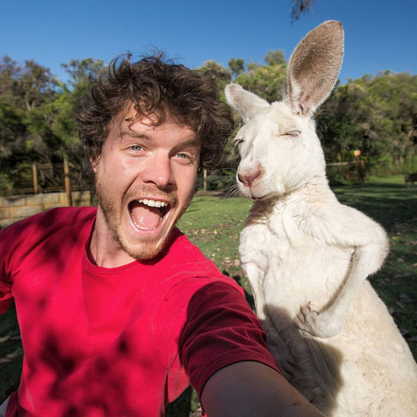 Apelidado de Dr. Dolittle da vida real, o irlandês Allan Dixon faz selfies incríveis com animais