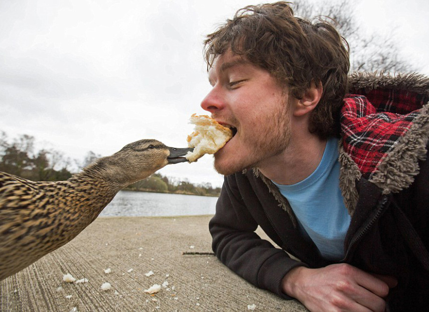 Apelidado de Dr. Dolittle da vida real, o irlandês Allan Dixon faz selfies incríveis com animais