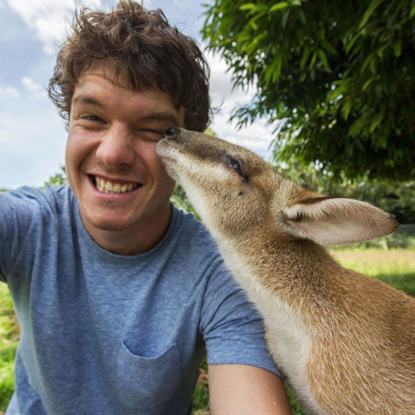 Apelidado de Dr. Dolittle da vida real, o irlandês Allan Dixon faz selfies incríveis com animais