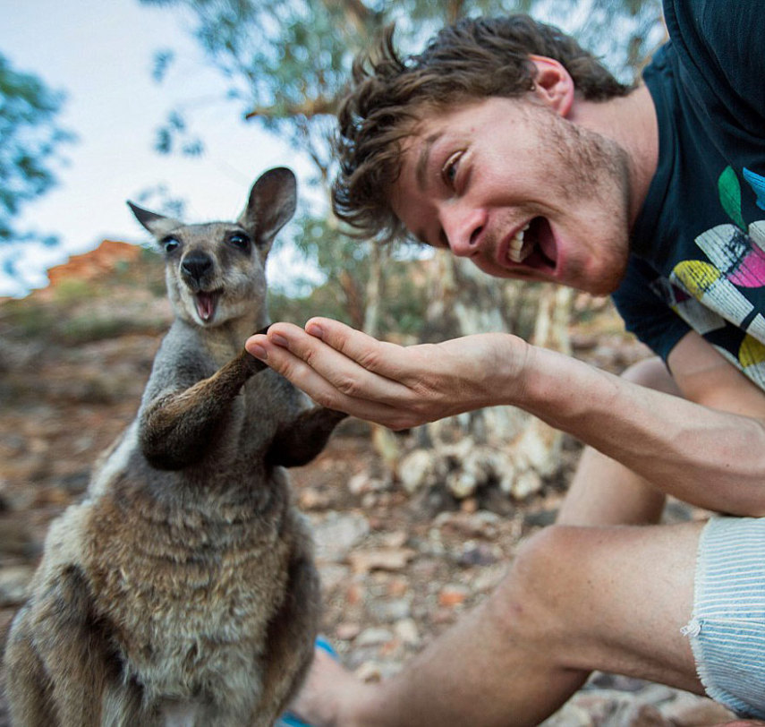 Apelidado de Dr. Dolittle da vida real, o irlandês Allan Dixon faz selfies incríveis com animais