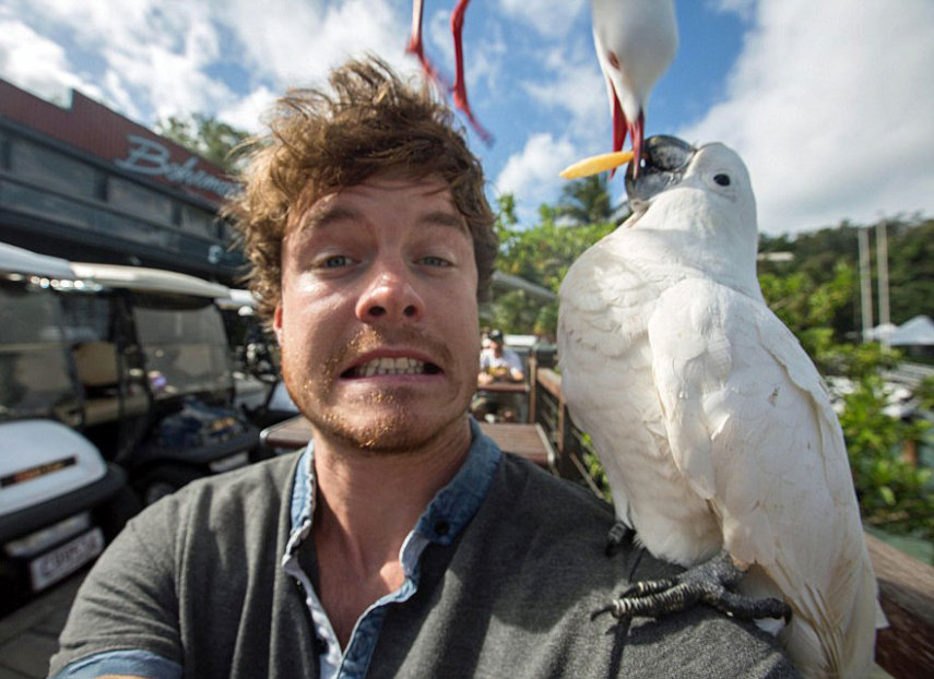 Apelidado de Dr. Dolittle da vida real, o irlandês Allan Dixon faz selfies incríveis com animais