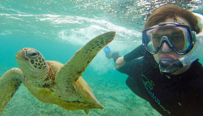 Apelidado de Dr. Dolittle da vida real, o irlandês Allan Dixon faz selfies incríveis com animais