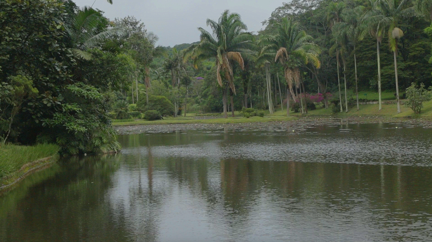 O Jardim Botânico tem 360 mil m² de área para visitação
