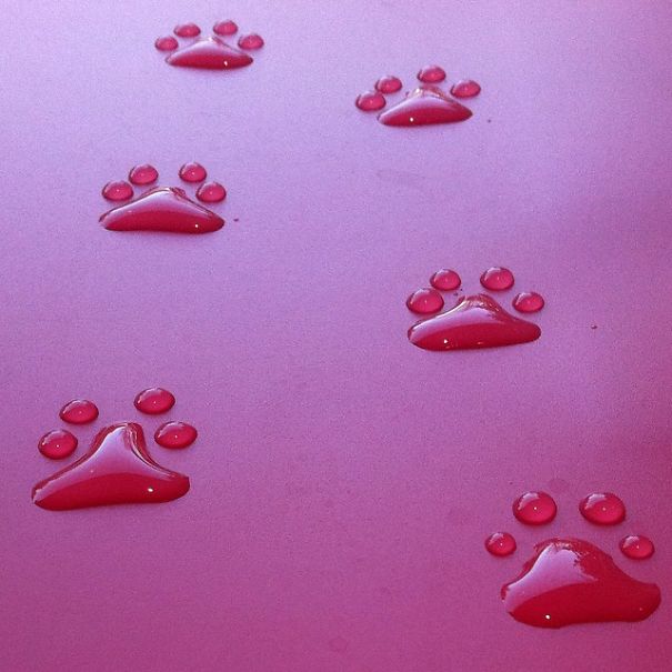 Aravis Dollmenna diz que começou a entrar em contato com sua arte ao descobrir o Instagram. Desde então, passou a experimentar vários formatos de imagens até chegar em um estilo que chamou a atenção de várias pessoas na internet. Usando apenas água, tinta, superfícies planas e luz natural, as imagens mostram contornos e texturas surpreendentes, como se tivessem sido esculpidos. 