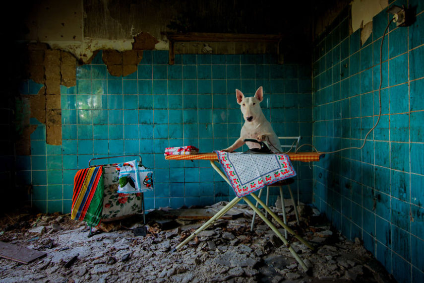 A fotógrafa Alice van Kempen viaja a Europa e retrata sua cadela em prédios e outros lugares abandonados