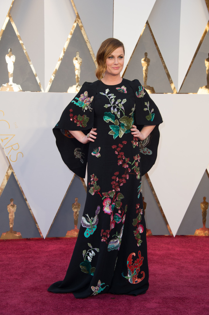 Amy Poehler