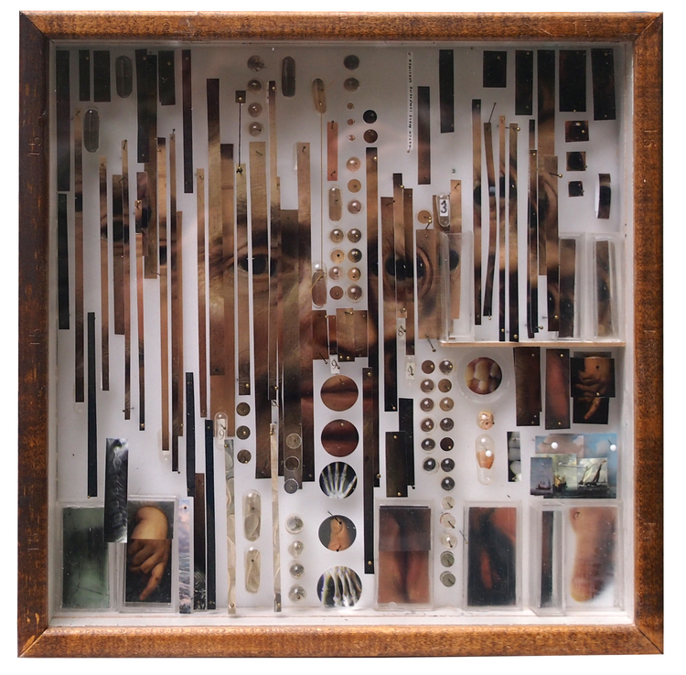 O artista Michael Mapes, dos Estados Unidos, se inspirou em uma técnica muito antiga para fazer sua arte. Nas civilizações antigas onde a anatomia era estudada, era muito comum o processo de dissecação do corpo humano ou de animais, onde as partes eram separadas e 