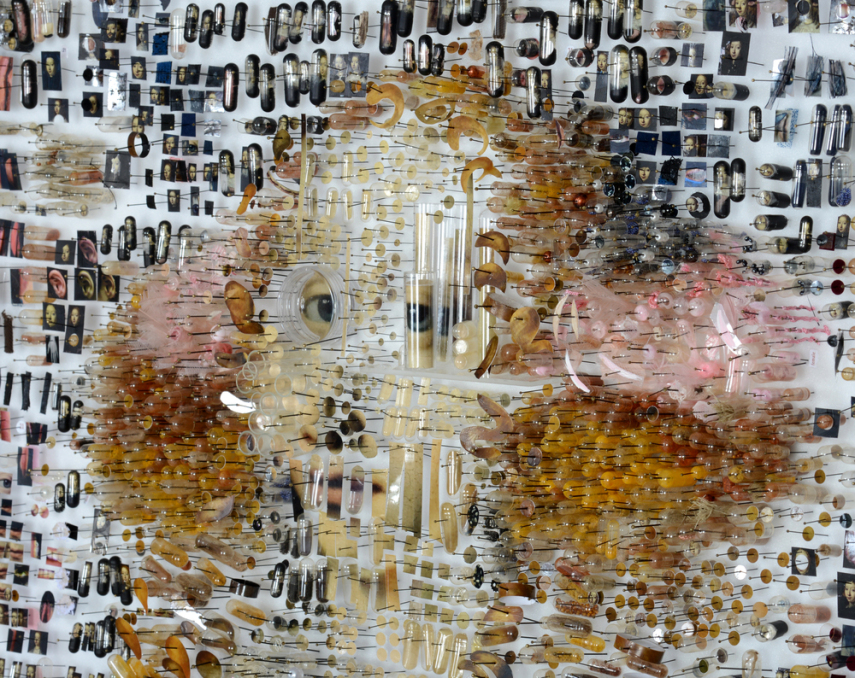 O artista Michael Mapes, dos Estados Unidos, se inspirou em uma técnica muito antiga para fazer sua arte. Nas civilizações antigas onde a anatomia era estudada, era muito comum o processo de dissecação do corpo humano ou de animais, onde as partes eram separadas e 
