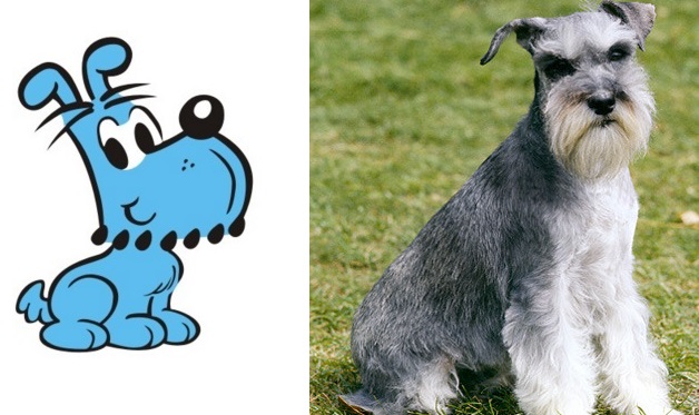 O cachorro azul que o cartunista Maurício de Sousa deu para Franjinha foi criado com inspiração na raça Schnauzer. Os Schnauzers são muito ágeis, apegados e um pouquinho ciumentos.