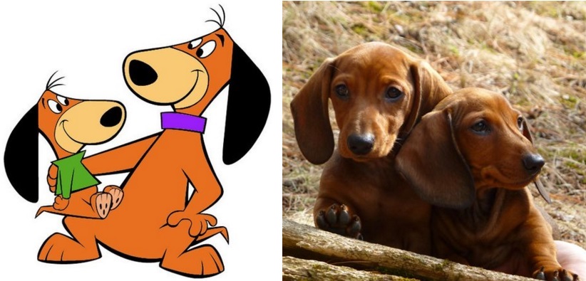 Os personagens de Hanna-Barbera são Dachshunds, também conhecidos como Basset ou salsichinhas. Os baixinhos são amigáveis, cheios de vida e teimosos.