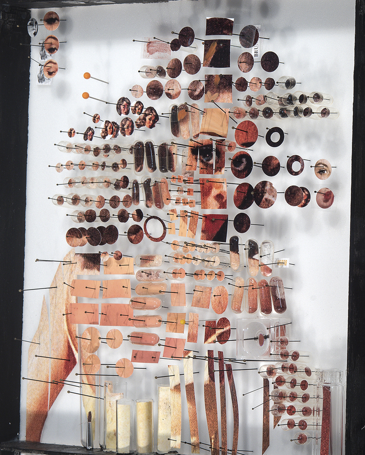 O artista Michael Mapes, dos Estados Unidos, se inspirou em uma técnica muito antiga para fazer sua arte. Nas civilizações antigas onde a anatomia era estudada, era muito comum o processo de dissecação do corpo humano ou de animais, onde as partes eram separadas e 