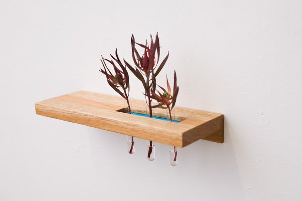 Madeira + suporte de vidro = vaso de plantas para lá de moderno