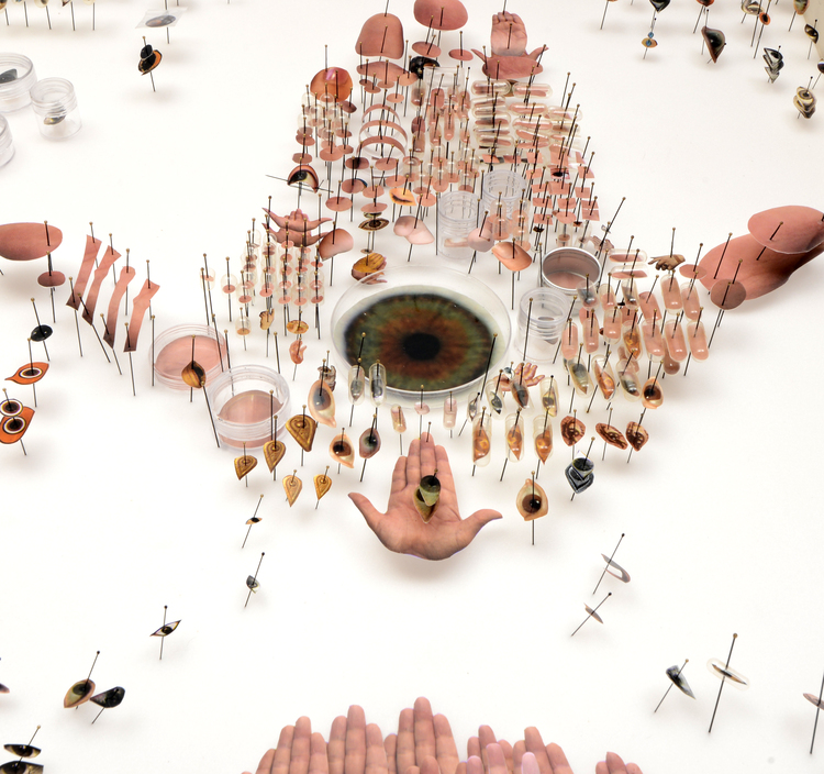 O artista Michael Mapes, dos Estados Unidos, se inspirou em uma técnica muito antiga para fazer sua arte. Nas civilizações antigas onde a anatomia era estudada, era muito comum o processo de dissecação do corpo humano ou de animais, onde as partes eram separadas e 
