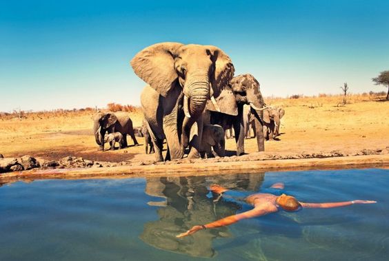 O que fazer: o Zimbabwe é para quem tem espírito de aventura e algum dinheiro no bolso porque os passeios em grupo e guiados não saem nada baratos. Para começar, vá ao Hwange National Park, uma das 10 maiores reservas da África e onde vivem mais de 40 mil elefantes