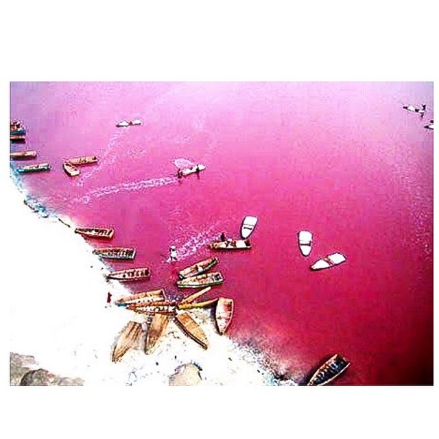 O Retba Lake, em Senegal, possui uma cor rosada graças ao “trabalho” de cianobactérias