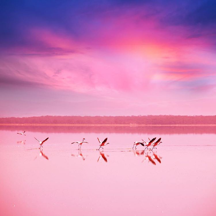 O Retba Lake, em Senegal, possui uma cor rosada graças ao “trabalho” de cianobactérias