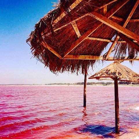 O Retba Lake, em Senegal, possui uma cor rosada graças ao “trabalho” de cianobactérias