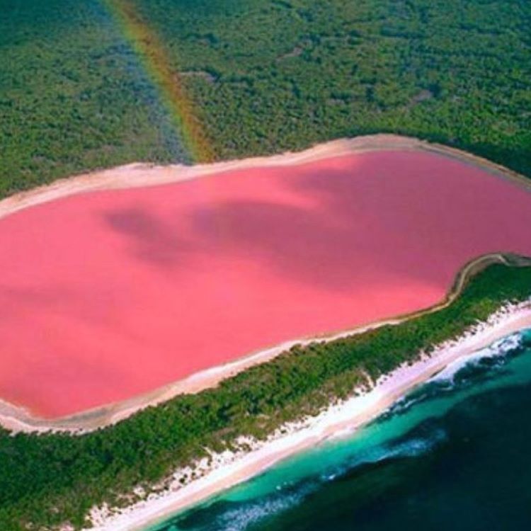 O Retba Lake, em Senegal, possui uma cor rosada graças ao “trabalho” de cianobactérias