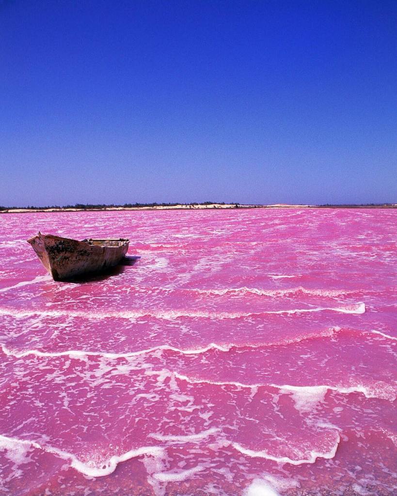 O Retba Lake, em Senegal, possui uma cor rosada graças ao “trabalho” de cianobactérias