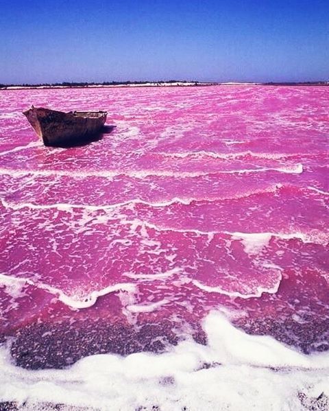 O Retba Lake, em Senegal, possui uma cor rosada graças ao “trabalho” de cianobactérias