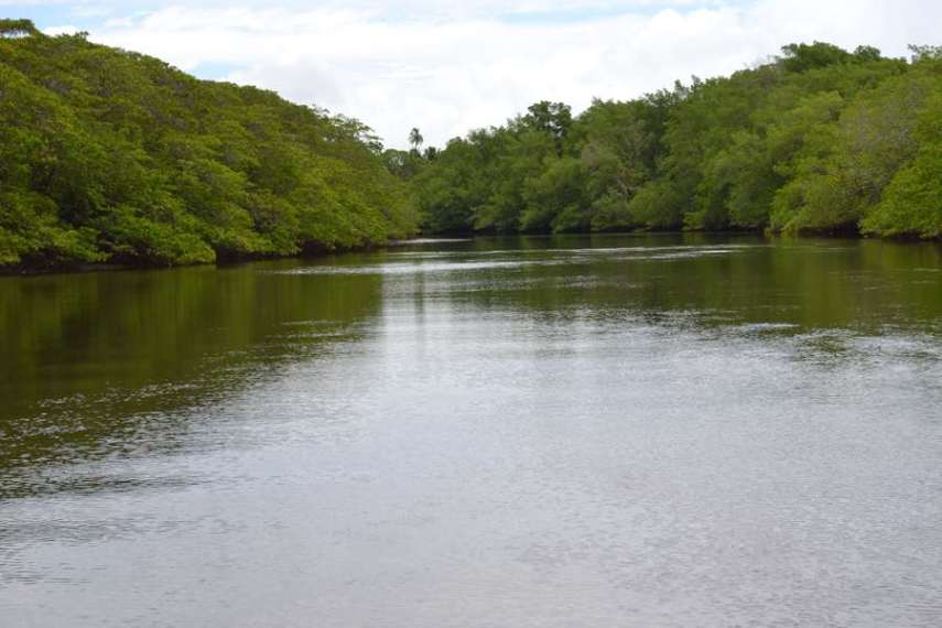 O rio Tatuamunha que abriga o gigante de Porto de Pedras