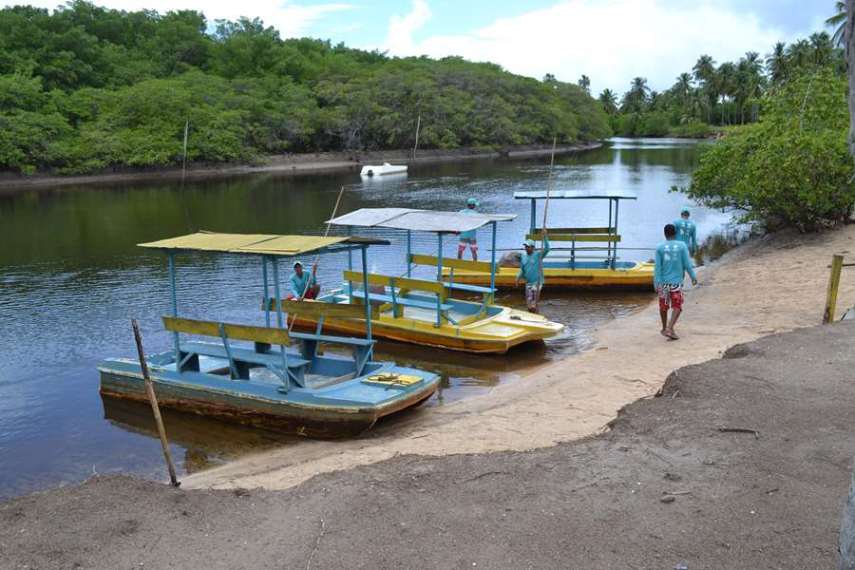 Após uma caminhada por uma região de manguezal com guias locais, pequenas embarcações sem motores (que não oferecerem perigo aos animais) aguardam os visitantes