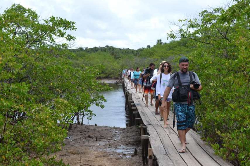 Após uma caminhada por uma região de manguezal com guias locais, pequenas embarcações sem motores (que não oferecerem perigo aos animais) aguardam os visitantes