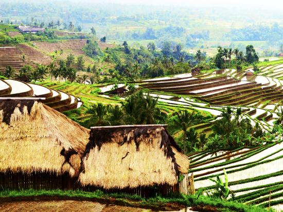 Ubud, Indonésia