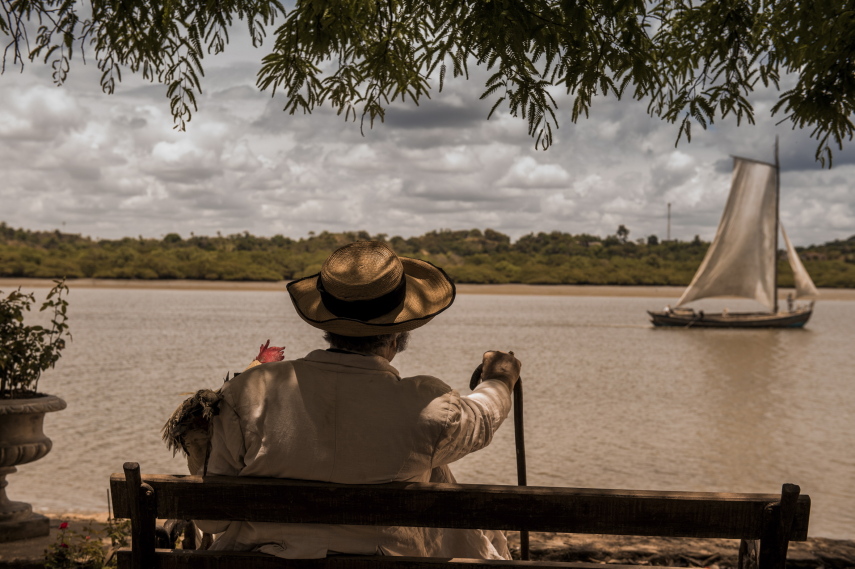 Estreou nessa segunda-feira (14) a nova trama das 21h da TV Globo, Velho Chico. O primeiro capítulo da novela de Benedito Ruy Barbosa mostrou que a nova aposta da emissora é, além de um romance mais tradicional, uma fotografia mais artística e o registro belas paisagens.  A novela conta com o protagonista Afrânio, vivido por Rodrigo Santoro, um jovem que precisa voltar ao interior para assumir o comando do império montado por seu pai, Jacinto (Tarcísio Meira).