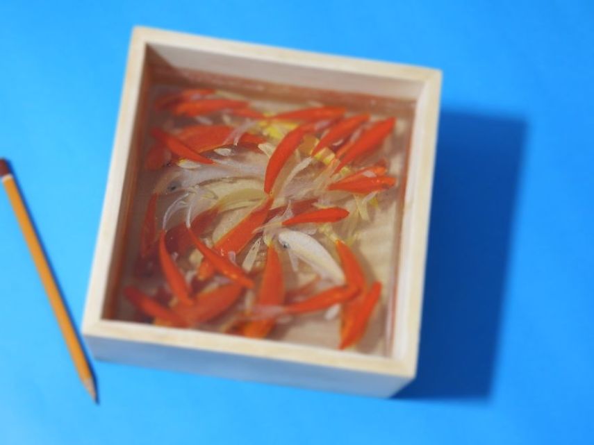 O artista Gerardo Chierchia faz obras incríveis em 3D usando resina e tinta acrílica