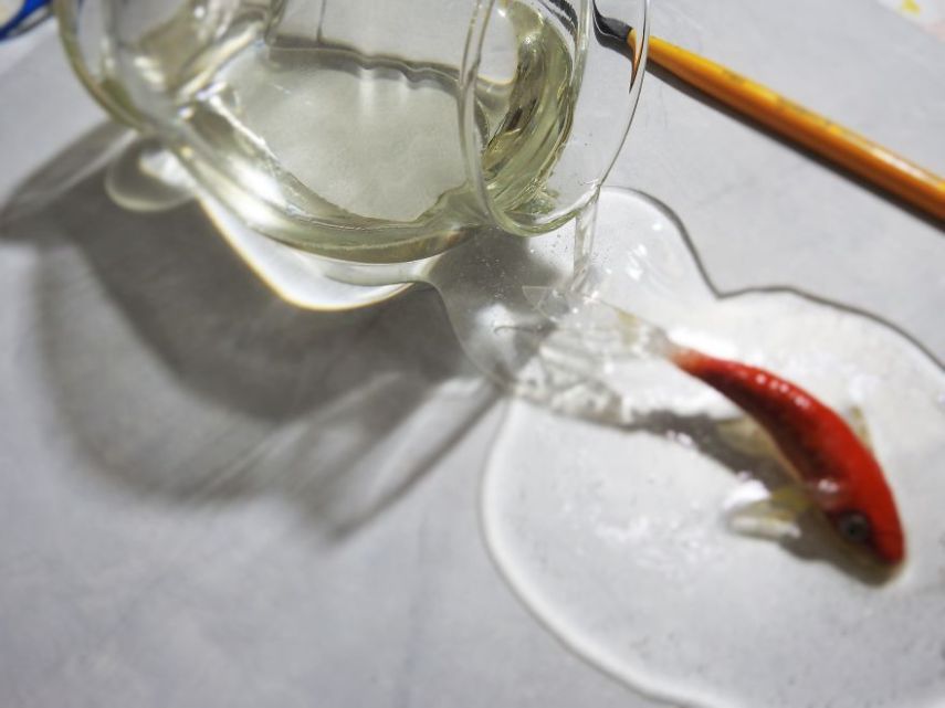 O artista Gerardo Chierchia faz obras incríveis em 3D usando resina e tinta acrílica