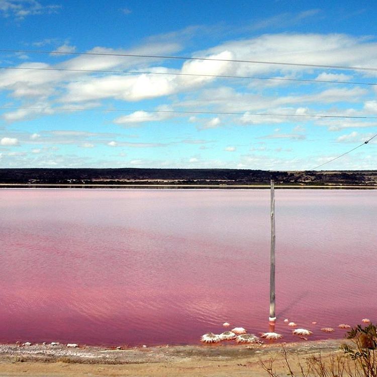 O Retba Lake, em Senegal, possui uma cor rosada graças ao “trabalho” de cianobactérias