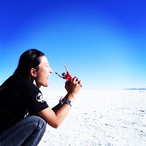 Com mais de 10 mil quilômetros quadrados, o Salar de Uyuni é a maior planície de sal do mundo e se tornou um disputado destino turístico no sudoeste da Bolívia, próximo da fronteira do Chile e da Cordilheira dos Andes.  Seu incrível nivelamento - a variação de altitude em toda a área é de no máximo um metro - foi resultado de milhares de anos de transformações de uma área tomada por lagos pré-históricos em um passado distante.  Quando começa o verão, o deserto de sal fica coberto de água, transformando-o em um imenso lago com profundidade média de 30 cm. São nestes locais mais rasos que o deserto se transforma em um imenso espelho d'água, onde o horizonte de confunde com o céu.  Este fenômeno é um prato cheio para os turistas, que aproveitam o reflexo da água e a vastidão do local para fazer fotos criativas.