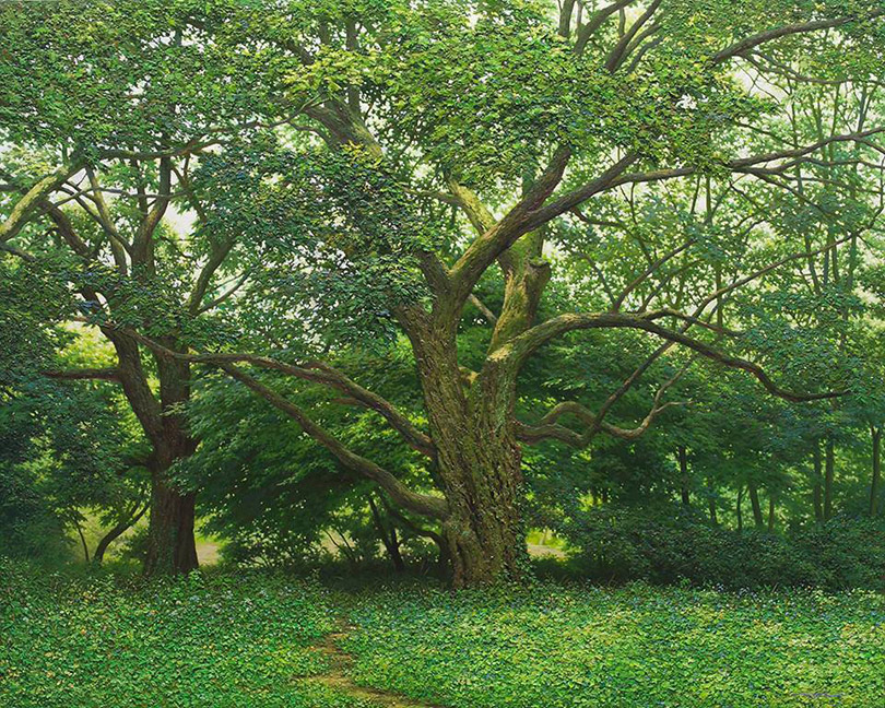 O coreano An Jung-hwan é especialista em pintar paisagens de florestas