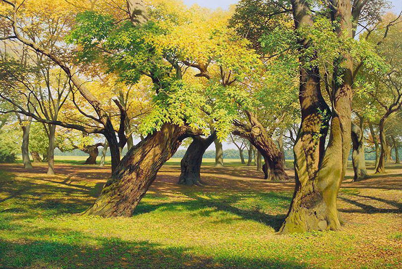 O coreano An Jung-hwan é especialista em pintar paisagens de florestas