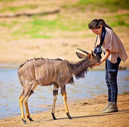 Shannon Benson roda o mundo atrás de imagens perfeitas de animais