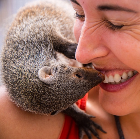 Shannon Benson roda o mundo atrás de imagens perfeitas de animais