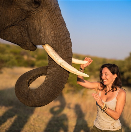 Shannon Benson roda o mundo atrás de imagens perfeitas de animais