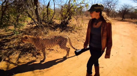 Shannon Benson roda o mundo atrás de imagens perfeitas de animais