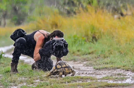 Shannon Benson roda o mundo atrás de imagens perfeitas de animais